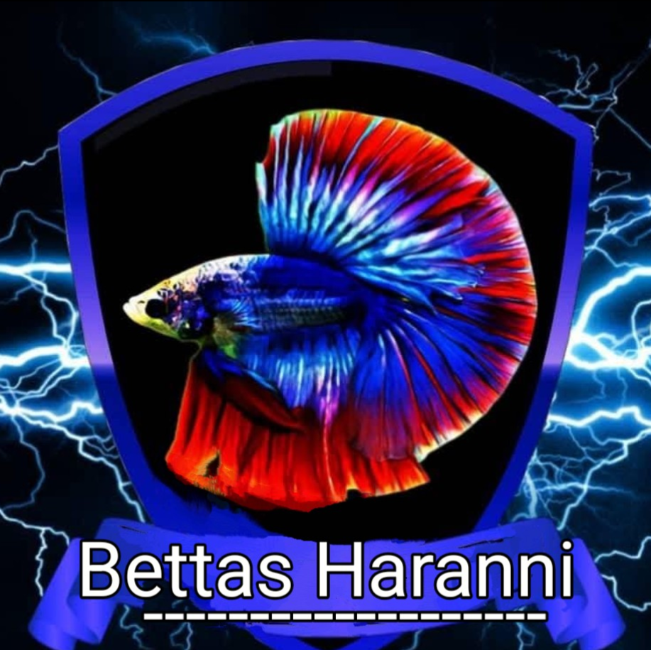 Bettasharannitierbedarf
